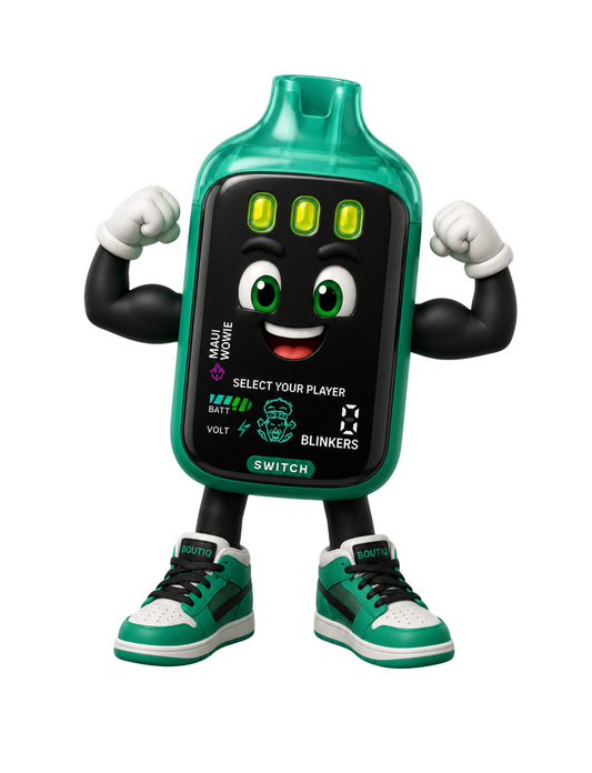 Boutiq Switch 2G